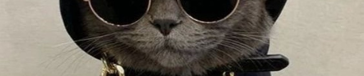 P¥RØ