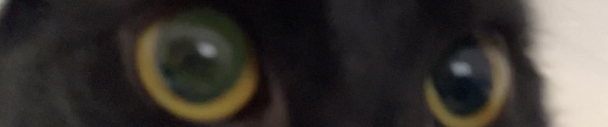¿