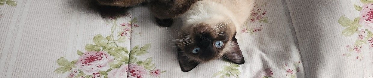 ❔️