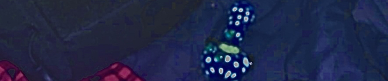 Datsohmi