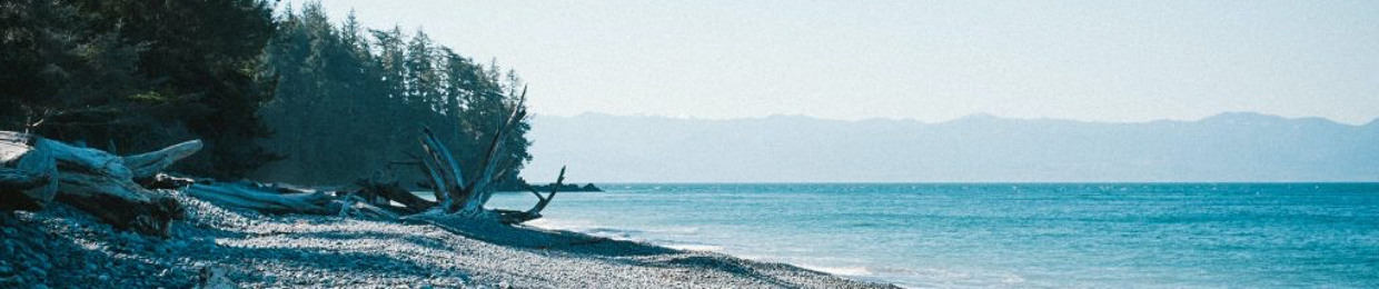 Pacific Outcast