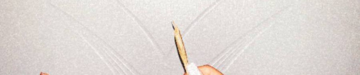 gahzal saiadi