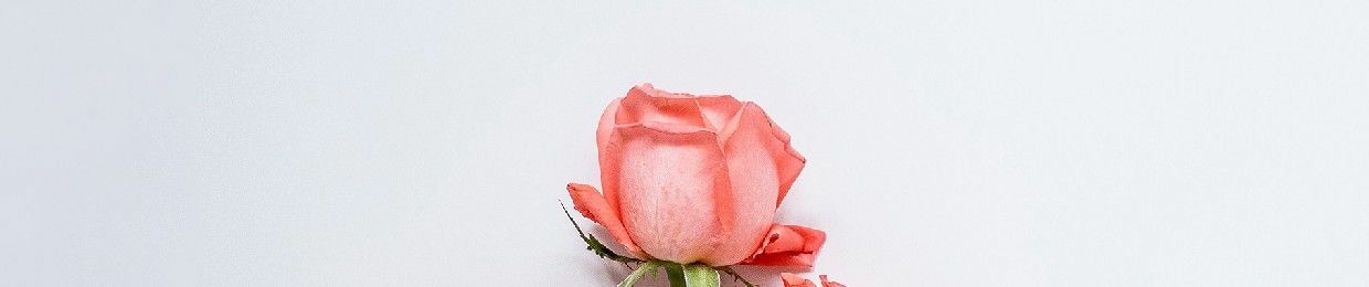 ‫كريم عريف‬‎