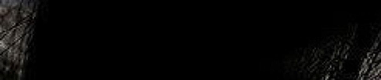 silvrr